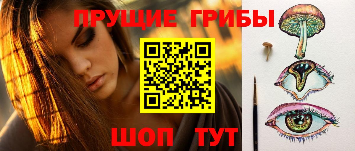 Галлюциногенные грибы мухоморы Можайск