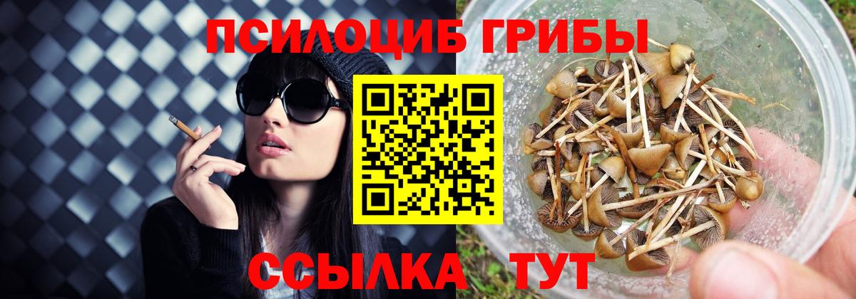 Галлюциногенные грибы прущие грибы  Вход с VPN  Псилоцибиновые грибы Cubensis  Можайск 